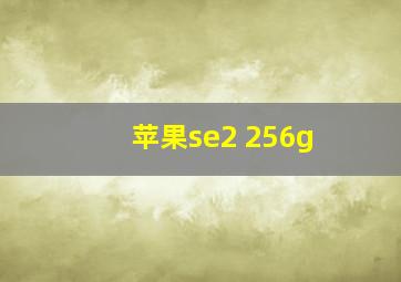 苹果se2 256g